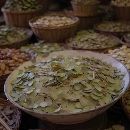 Les feuilles de jujubier (Sidr – سدر)