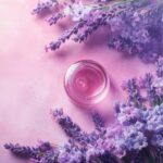 La lavande (Lavandula)