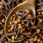 Le clou de girofle (Qaranful – قرنفل)